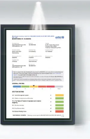 BSCI Certificate